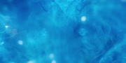 Filename=extant_StarTrekDiscovery_1x08-SiVisPacemParaBellum_2298.jpg
Filesize=107KiB
Dimensions=1920x960
Date added=Jan 02, 2019 extant_StarTrekDiscovery_1x08-SiVisPacemParaBellum_2298.jpg