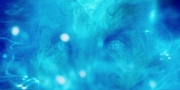 extant_StarTrekDiscovery_1x08-SiVisPacemParaBellum_2300.jpg