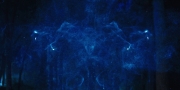 extant_StarTrekDiscovery_1x08-SiVisPacemParaBellum_2325.jpg