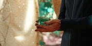 extant_StarTrekDiscovery_1x08-SiVisPacemParaBellum_3034.jpg