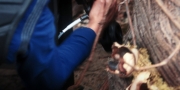 Filename=extant_StarTrekDiscovery_1x08-SiVisPacemParaBellum_3163.jpg
Filesize=163KiB
Dimensions=1920x960
Date added=Jan 02, 2019 extant_StarTrekDiscovery_1x08-SiVisPacemParaBellum_3163.jpg