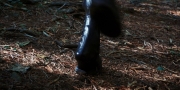 Filename=extant_StarTrekDiscovery_1x08-SiVisPacemParaBellum_3177.jpg
Filesize=334KiB
Dimensions=1920x960
Date added=Jan 02, 2019 extant_StarTrekDiscovery_1x08-SiVisPacemParaBellum_3177.jpg