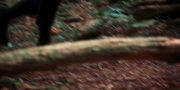 extant_StarTrekDiscovery_1x08-SiVisPacemParaBellum_3180.jpg
