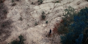 Filename=extant_StarTrekDiscovery_1x08-SiVisPacemParaBellum_3201.jpg
Filesize=414KiB
Dimensions=1920x960
Date added=Jan 02, 2019 extant_StarTrekDiscovery_1x08-SiVisPacemParaBellum_3201.jpg