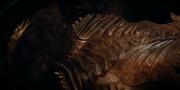 extant_StarTrekDiscovery_1x08-SiVisPacemParaBellum_3278.jpg