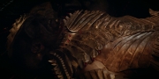 extant_StarTrekDiscovery_1x08-SiVisPacemParaBellum_3279.jpg