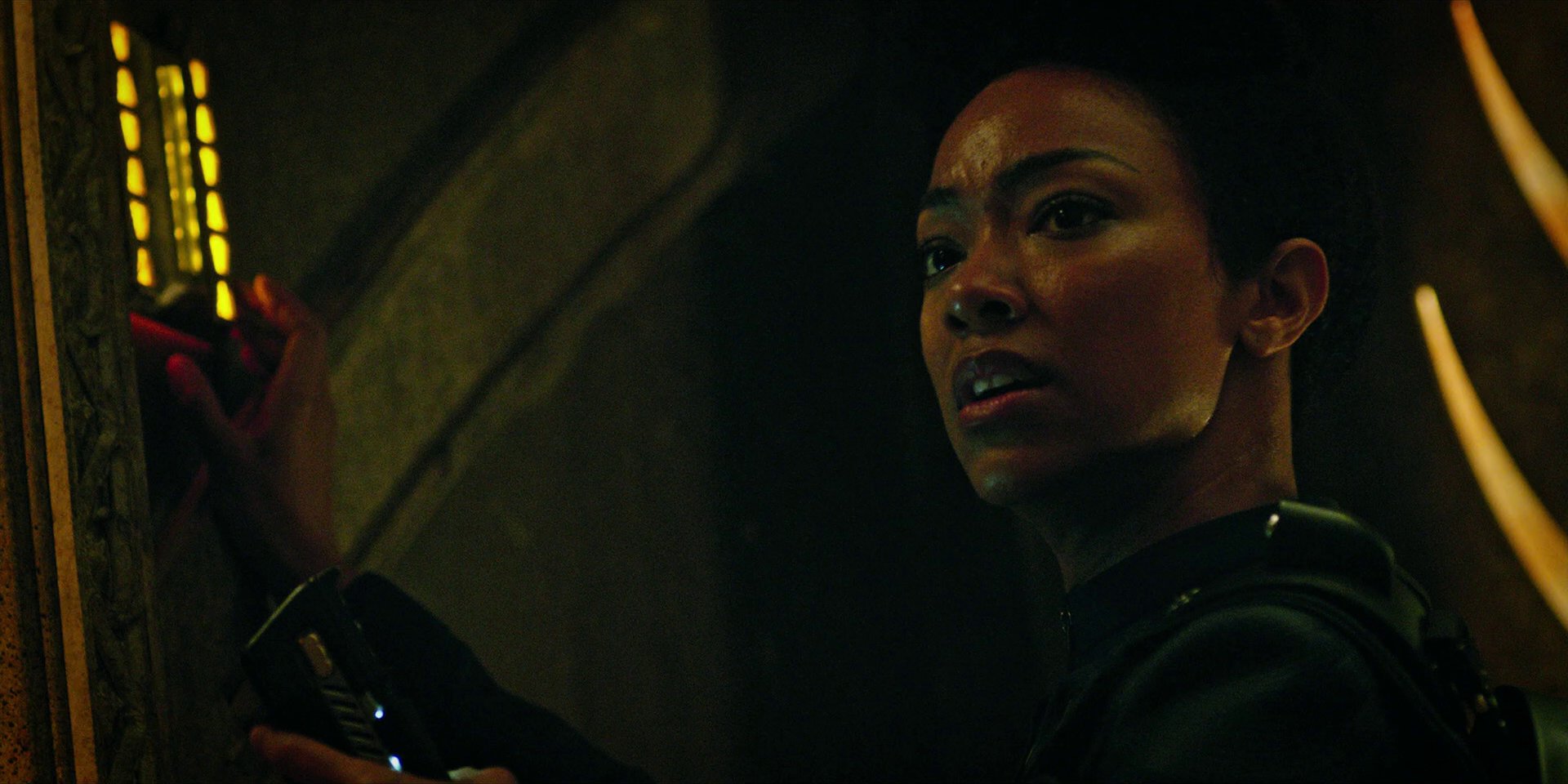 extant_StarTrekDiscovery_1x09-IntoTheForestIGo_1956.jpg