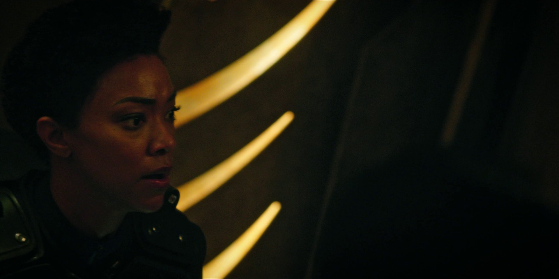 extant_StarTrekDiscovery_1x09-IntoTheForestIGo_1987.jpg