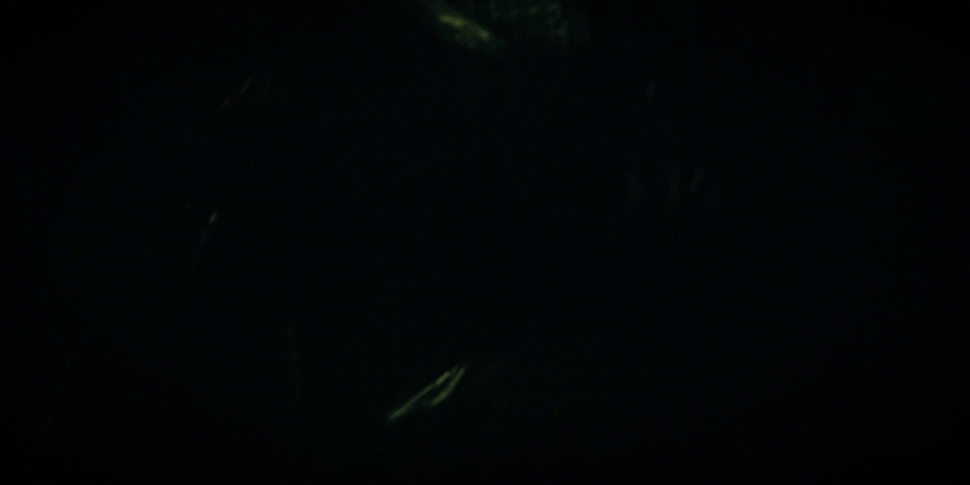 extant_StarTrekDiscovery_1x09-IntoTheForestIGo_2080.jpg