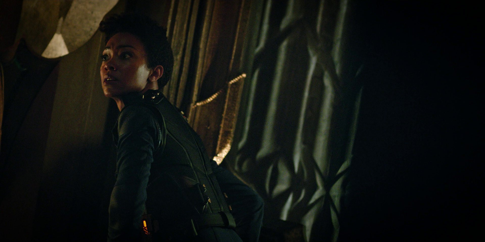 extant_StarTrekDiscovery_1x09-IntoTheForestIGo_2122.jpg
