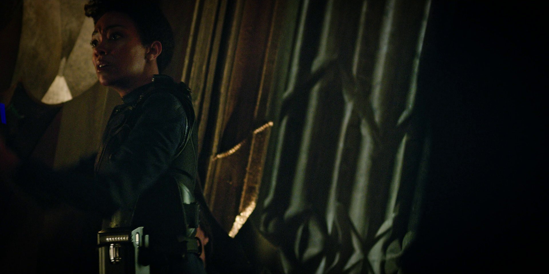 extant_StarTrekDiscovery_1x09-IntoTheForestIGo_2124.jpg