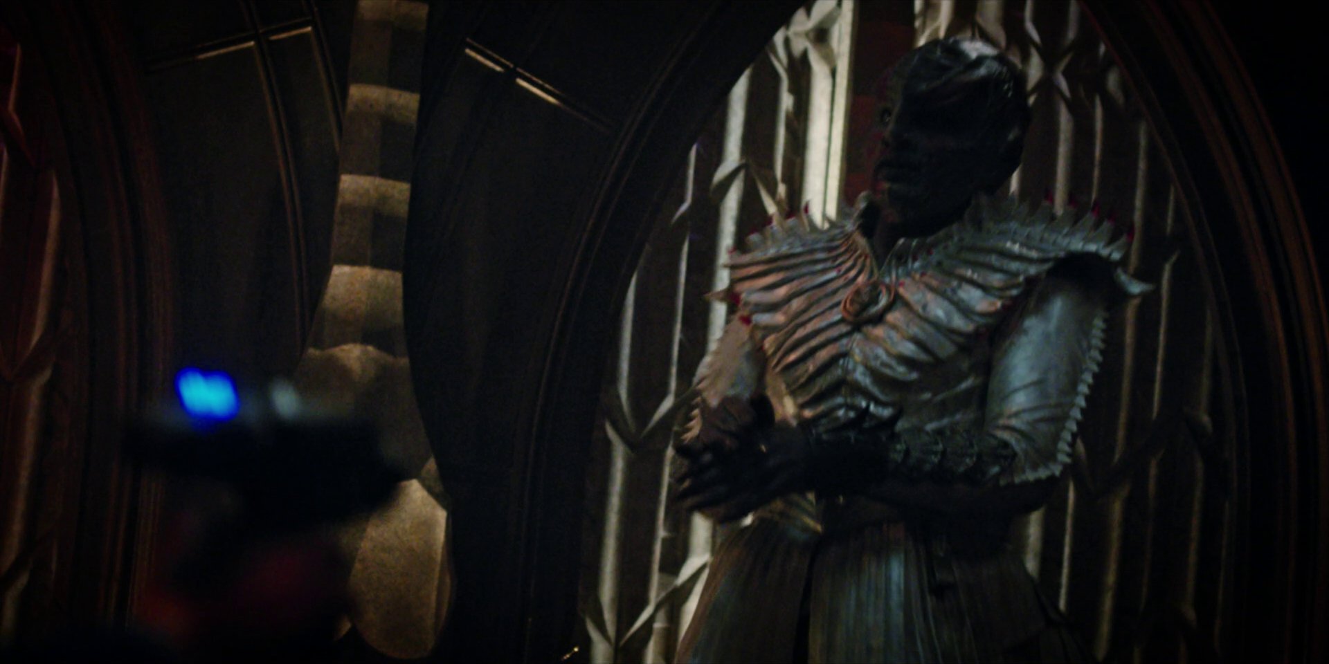 extant_StarTrekDiscovery_1x09-IntoTheForestIGo_2128.jpg