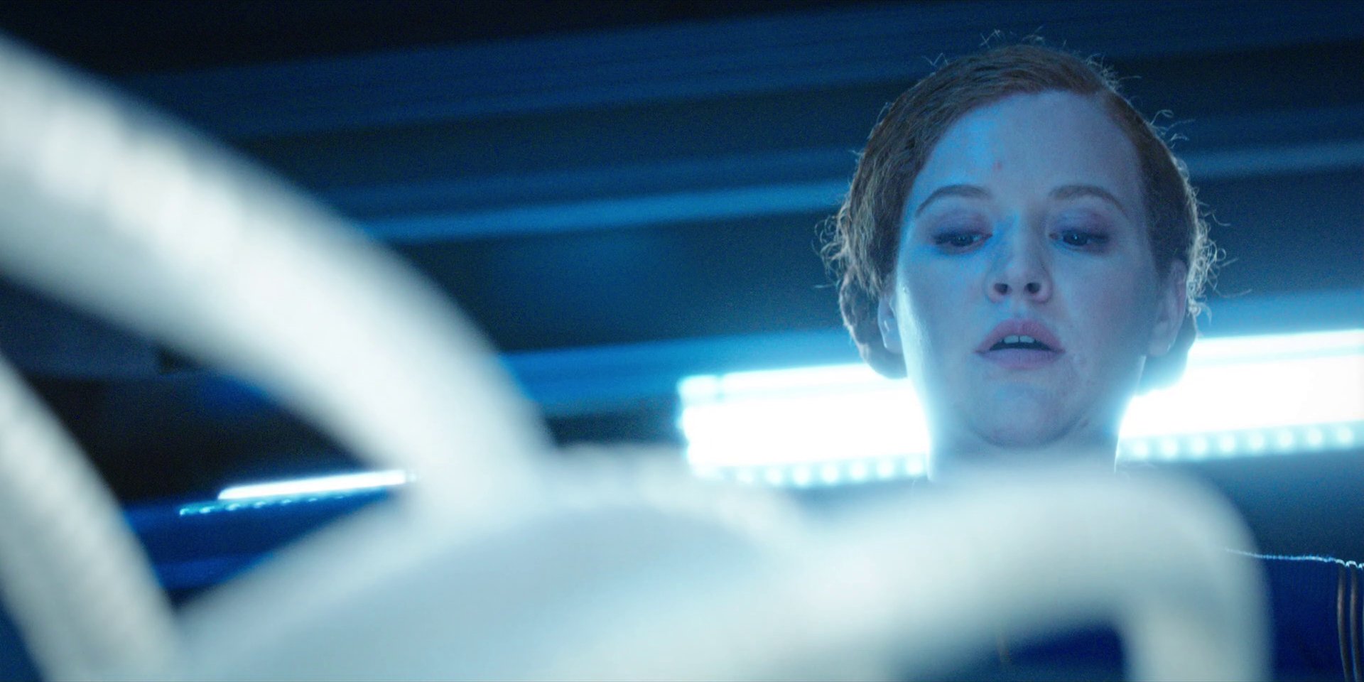 extant_StarTrekDiscovery_1x09-IntoTheForestIGo_2487.jpg