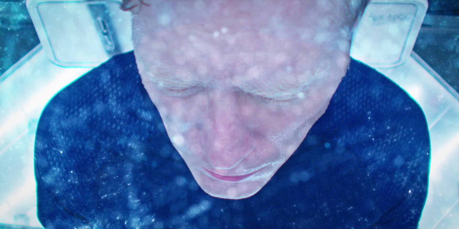 extant_StarTrekDiscovery_1x09-IntoTheForestIGo_2564.jpg extant_StarTrekDiscovery_1x09-IntoTheForestIGo_2564.jpg