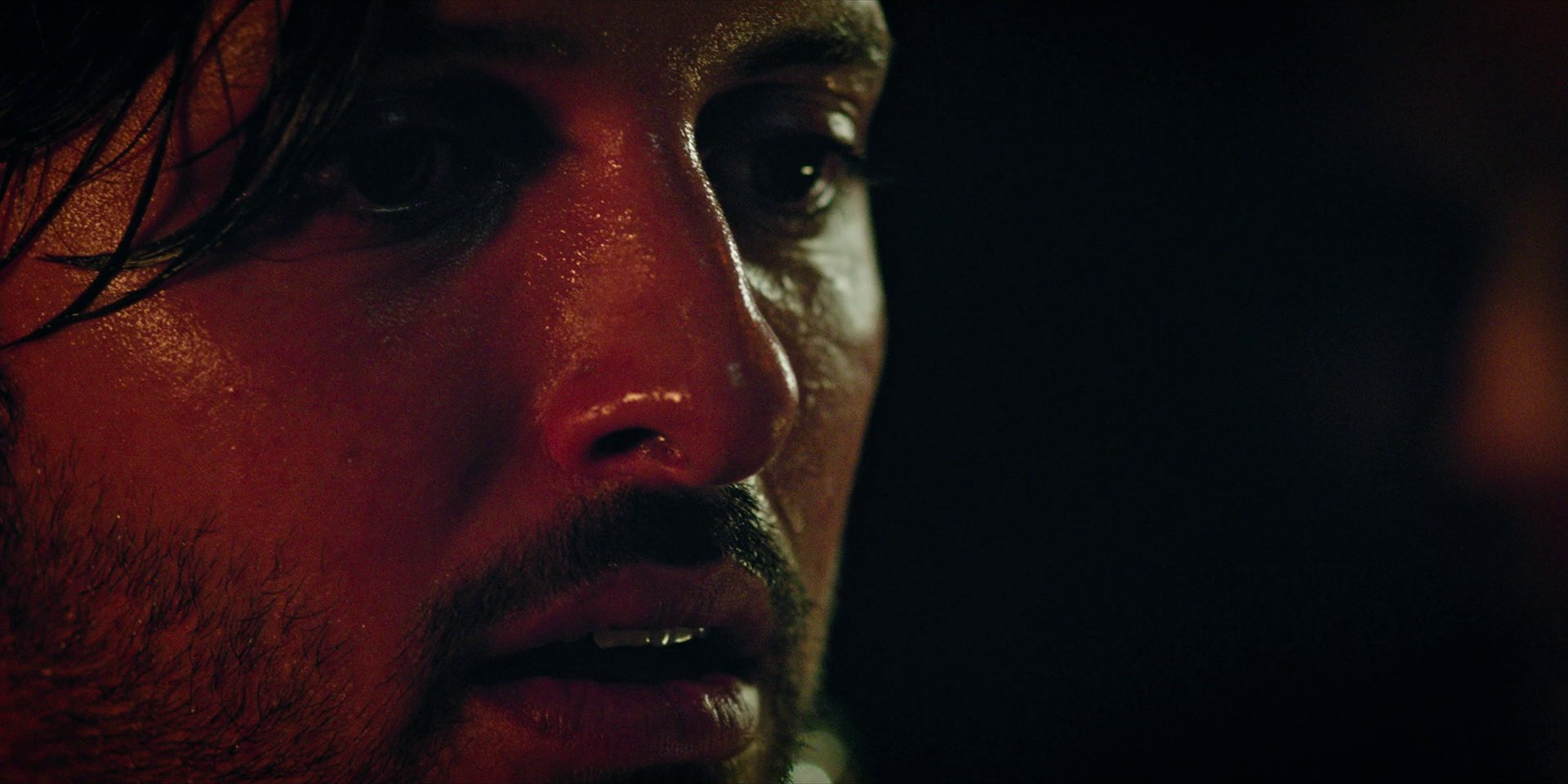 extant_StarTrekDiscovery_1x09-IntoTheForestIGo_2566.jpg extant_StarTrekDiscovery_1x09-IntoTheForestIGo_2566.jpg