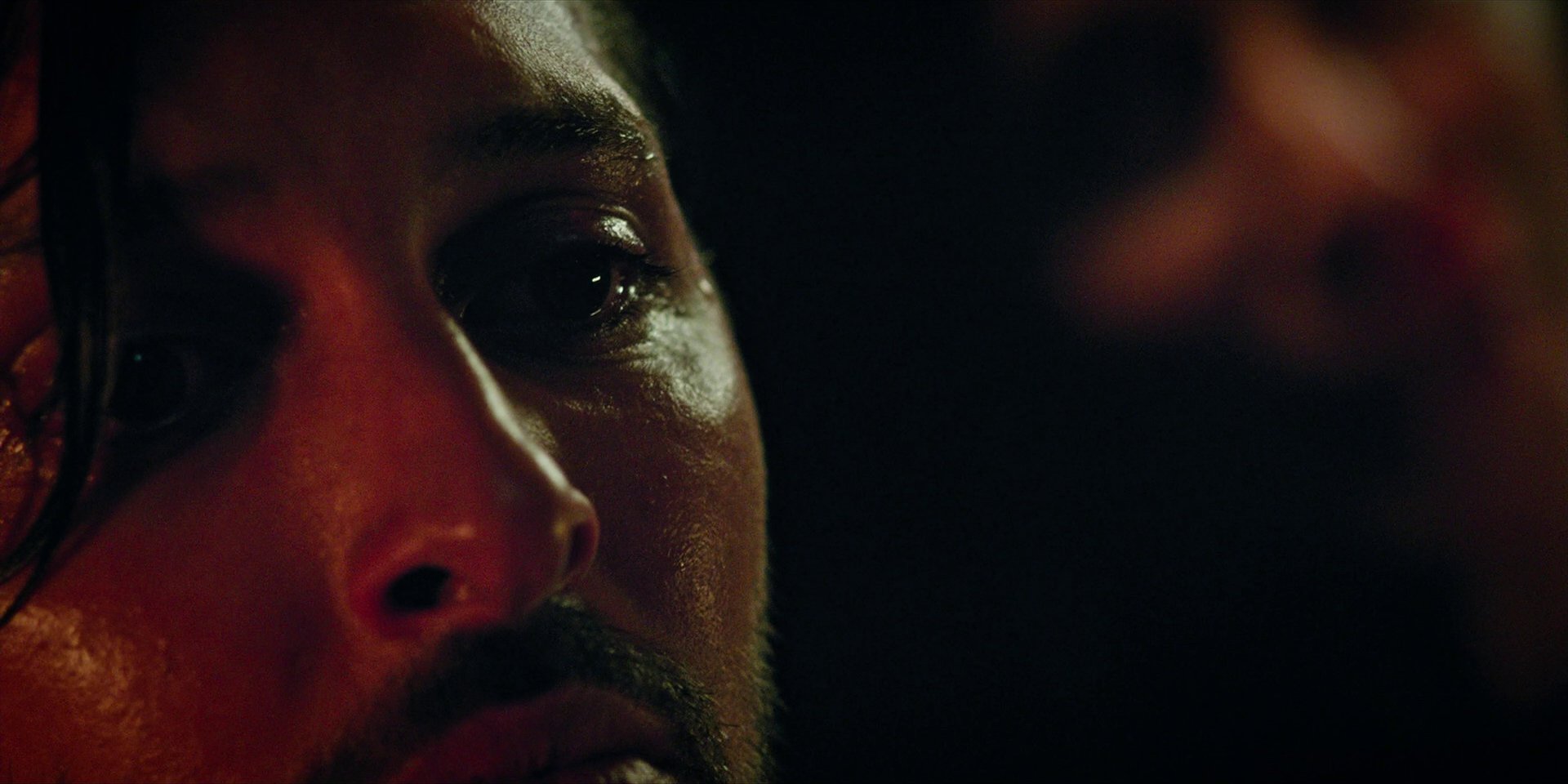 extant_StarTrekDiscovery_1x09-IntoTheForestIGo_2628.jpg extant_StarTrekDiscovery_1x09-IntoTheForestIGo_2628.jpg