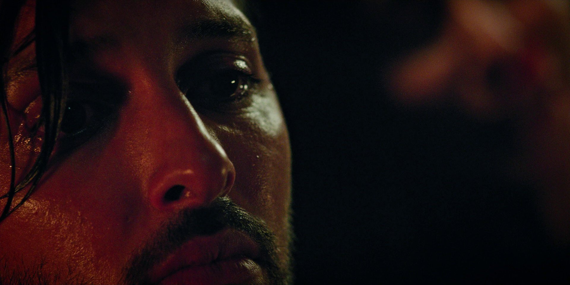 extant_StarTrekDiscovery_1x09-IntoTheForestIGo_2630.jpg extant_StarTrekDiscovery_1x09-IntoTheForestIGo_2630.jpg