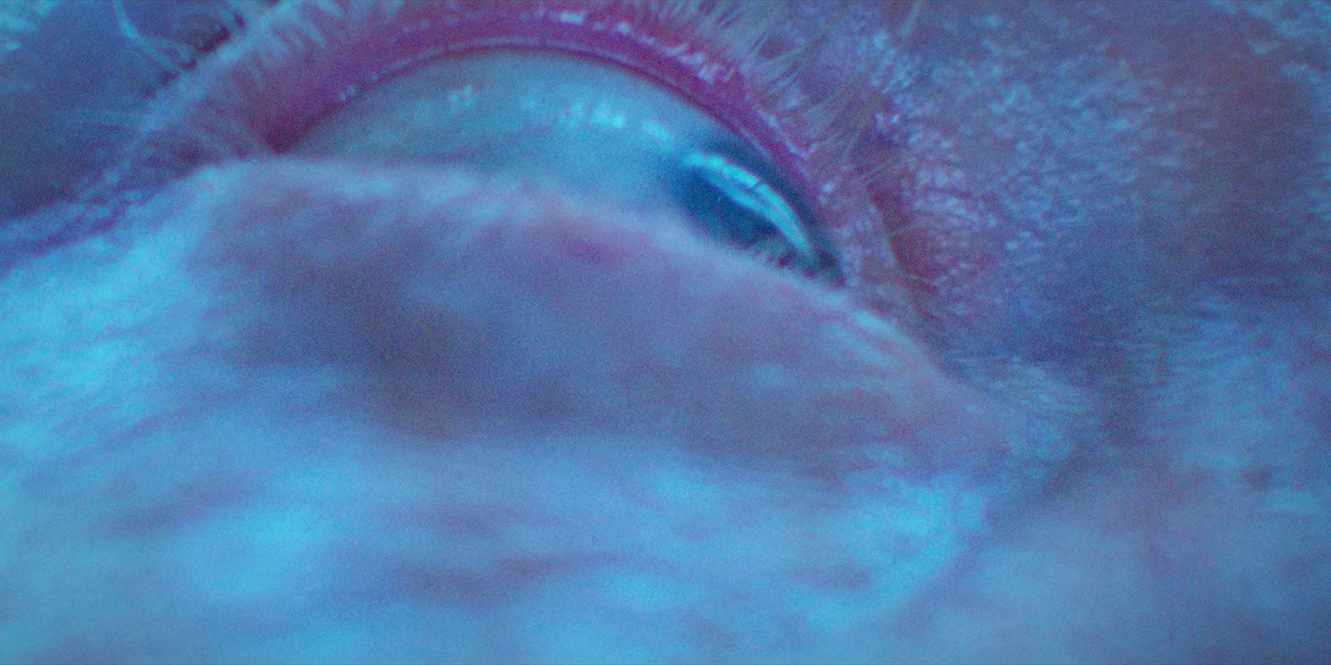 extant_StarTrekDiscovery_1x09-IntoTheForestIGo_2649.jpg extant_StarTrekDiscovery_1x09-IntoTheForestIGo_2649.jpg