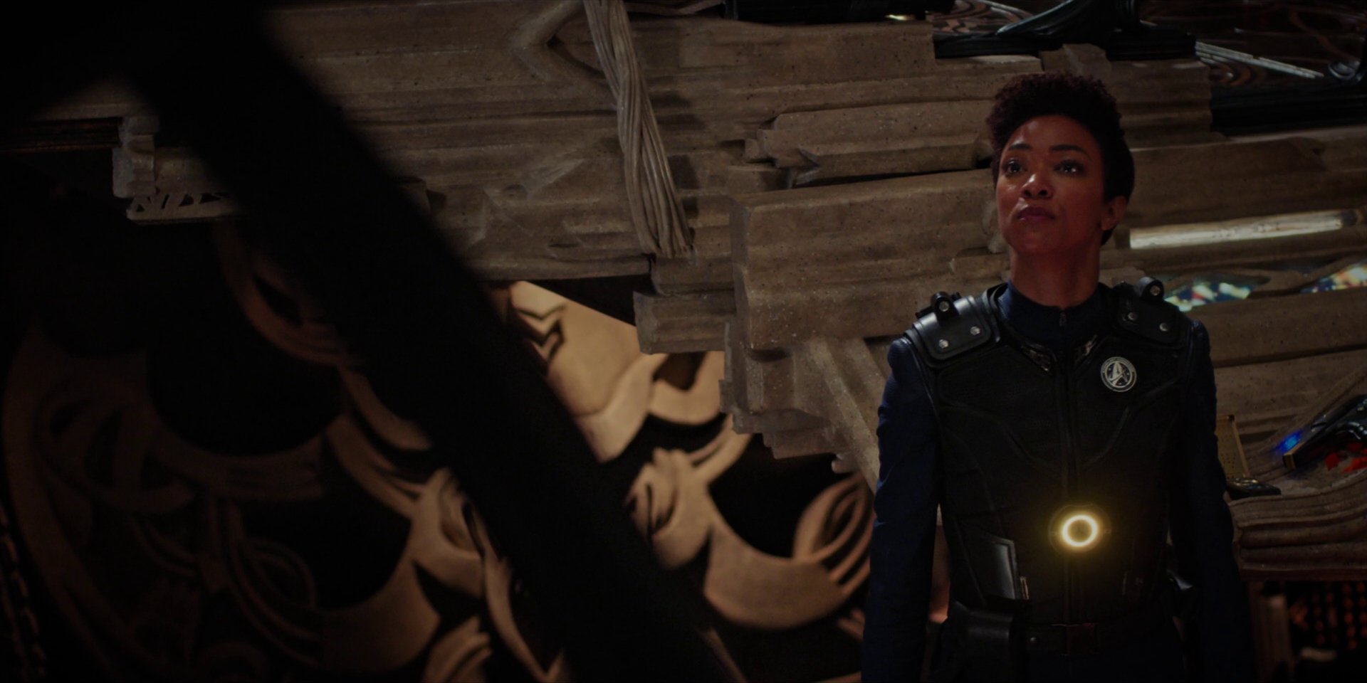 extant_StarTrekDiscovery_1x09-IntoTheForestIGo_2882.jpg
