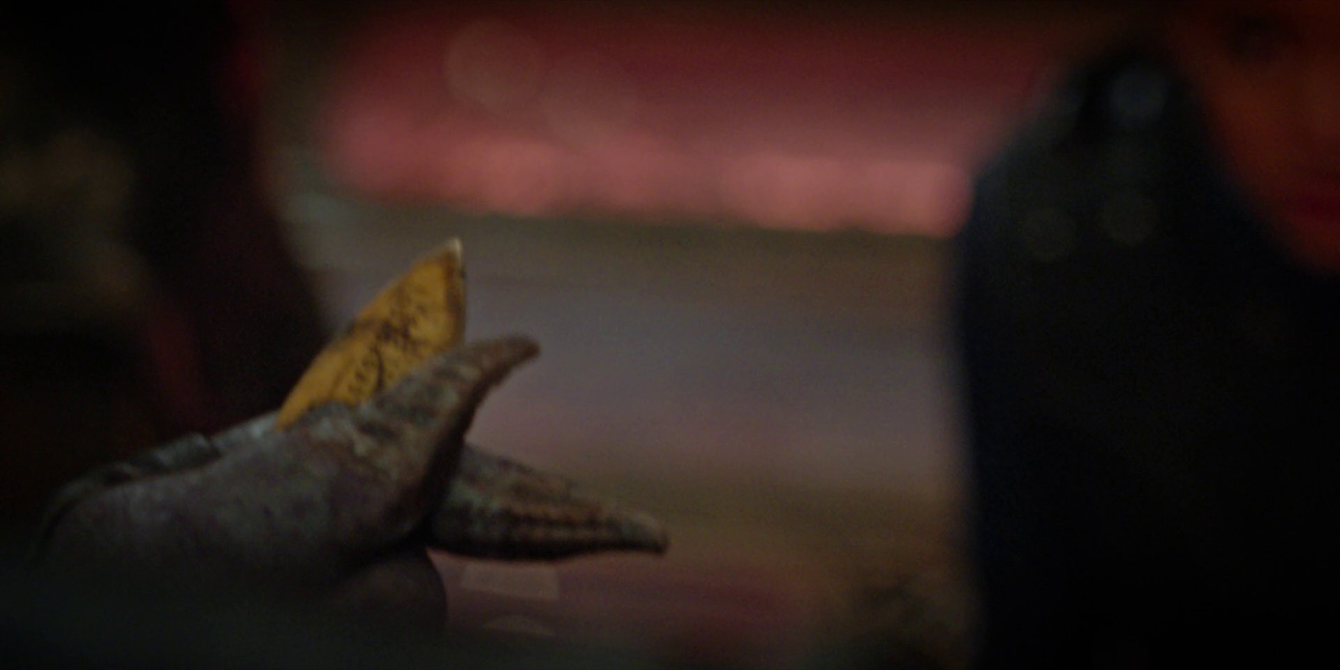 extant_StarTrekDiscovery_1x09-IntoTheForestIGo_2928.jpg