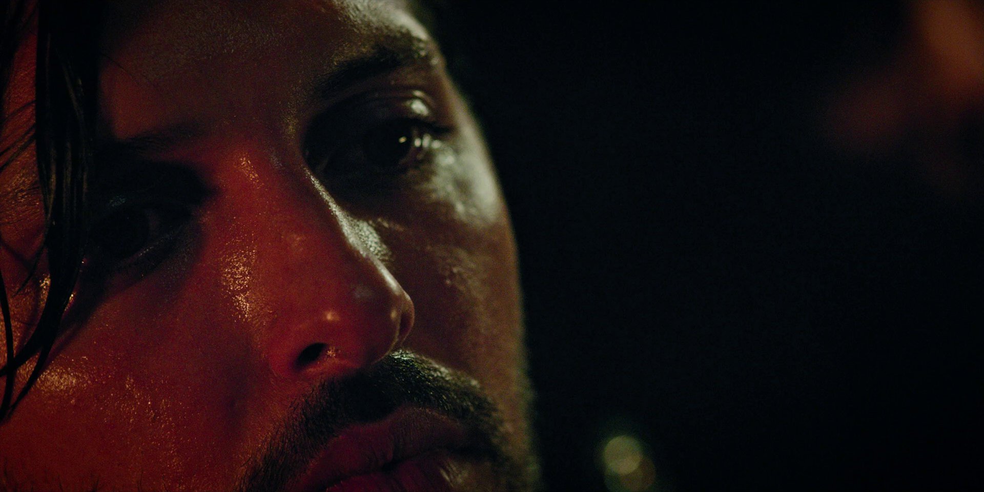 extant_StarTrekDiscovery_1x09-IntoTheForestIGo_3047.jpg extant_StarTrekDiscovery_1x09-IntoTheForestIGo_3047.jpg