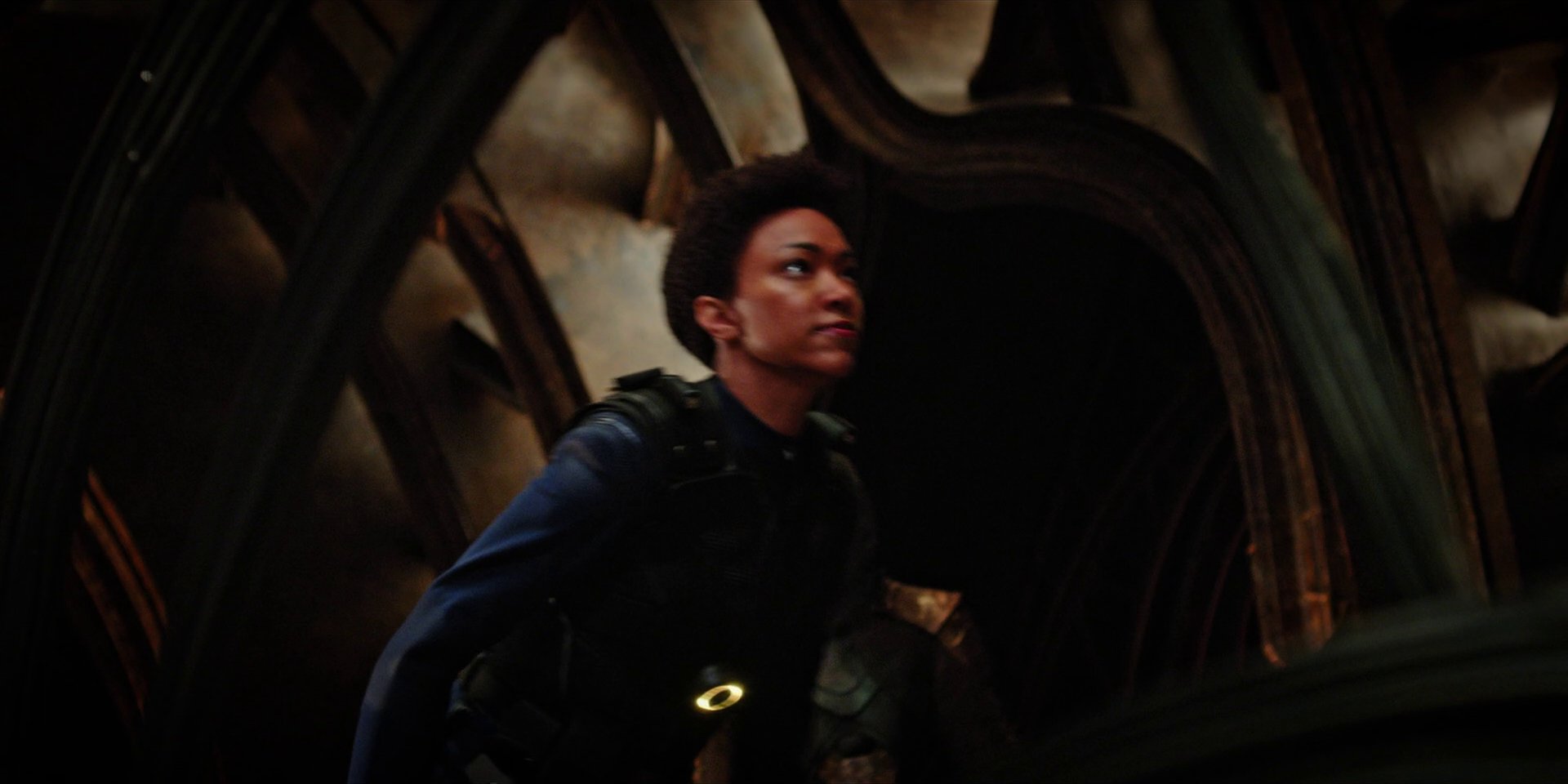 extant_StarTrekDiscovery_1x09-IntoTheForestIGo_3202.jpg