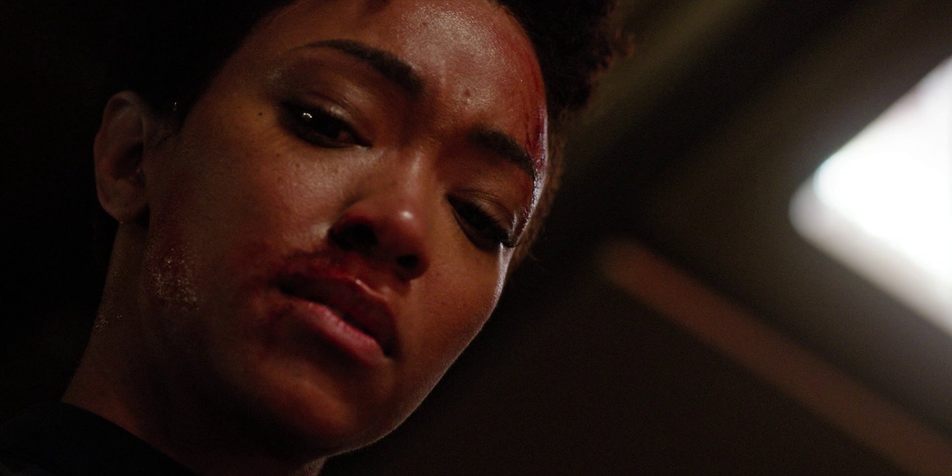 extant_StarTrekDiscovery_1x09-IntoTheForestIGo_3625.jpg