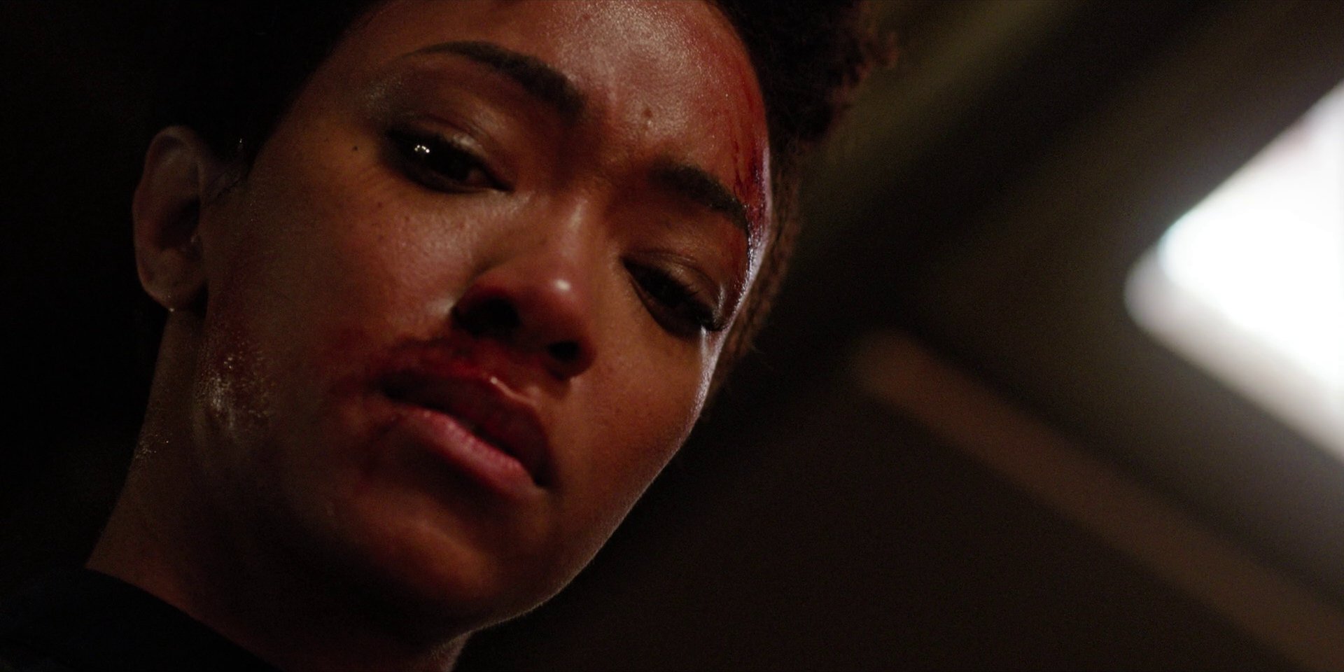 extant_StarTrekDiscovery_1x09-IntoTheForestIGo_3626.jpg
