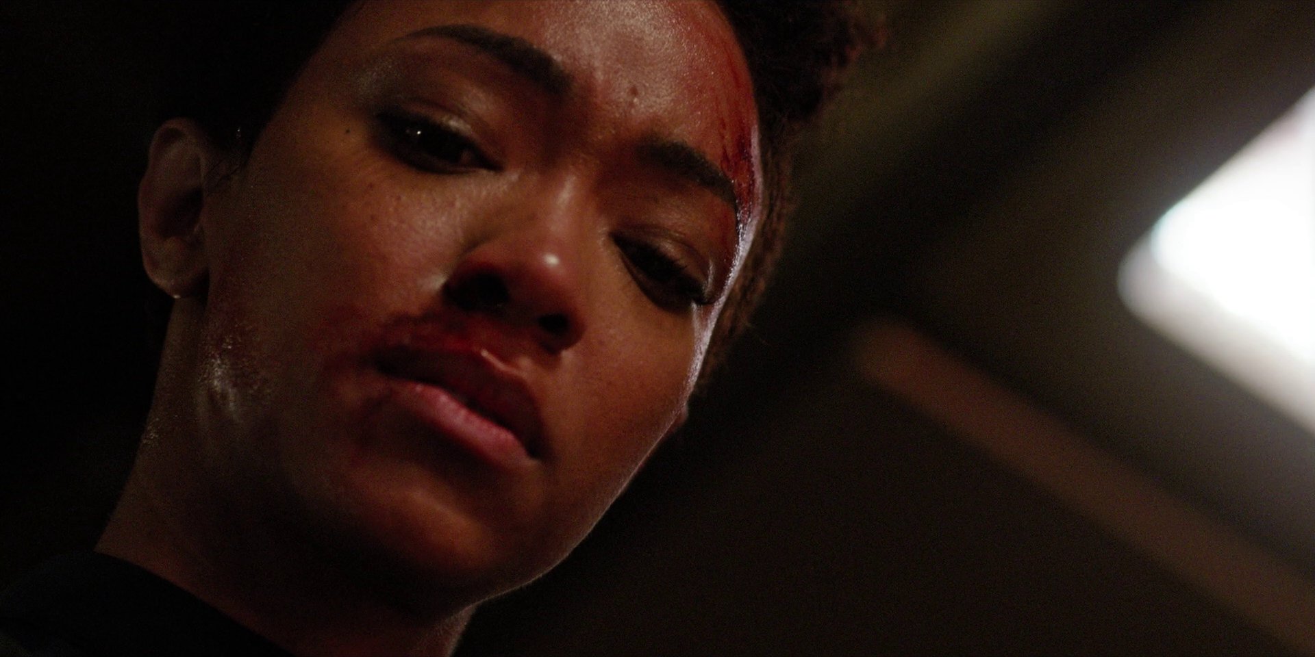 extant_StarTrekDiscovery_1x09-IntoTheForestIGo_3627.jpg