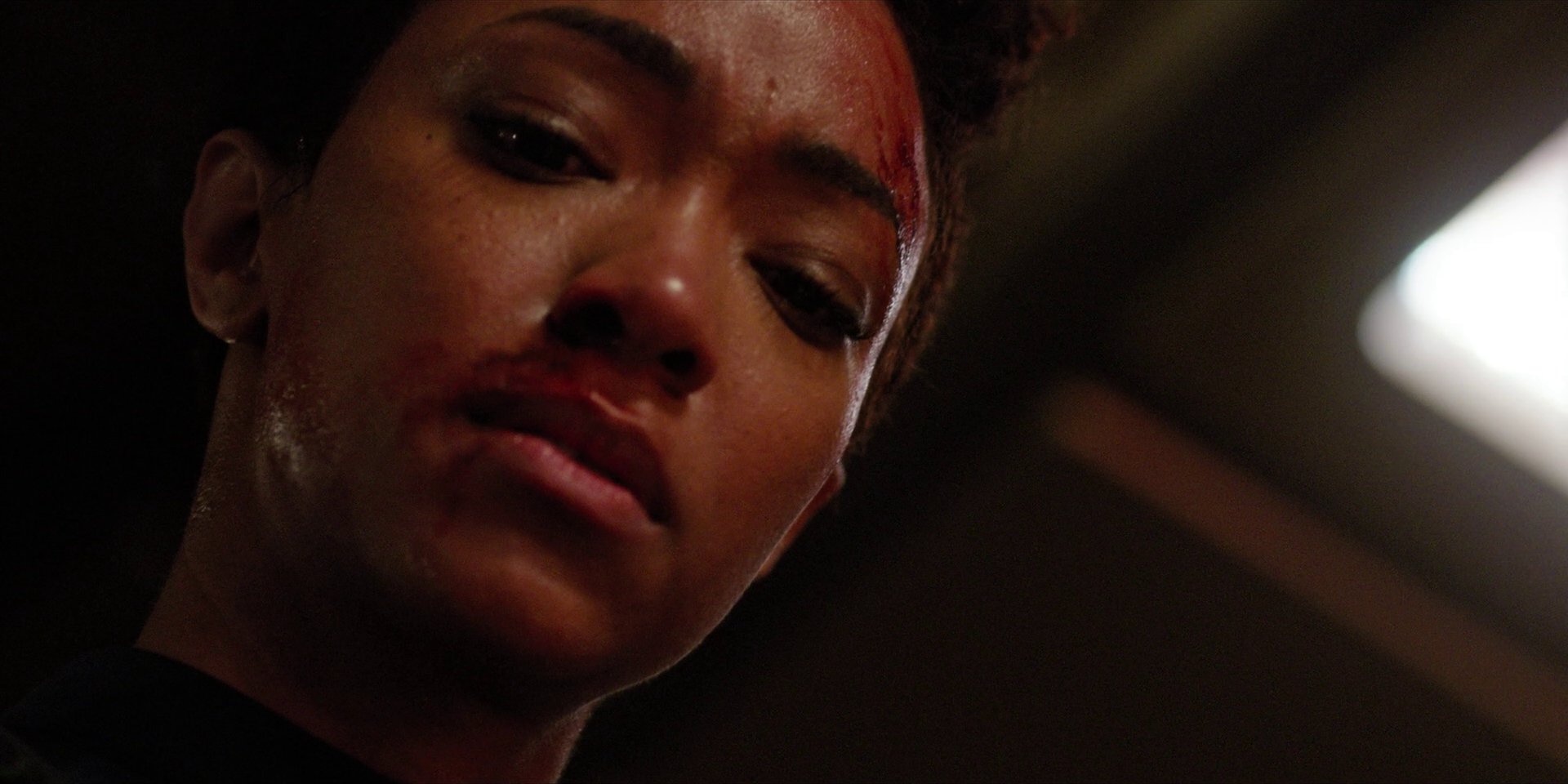 extant_StarTrekDiscovery_1x09-IntoTheForestIGo_3628.jpg