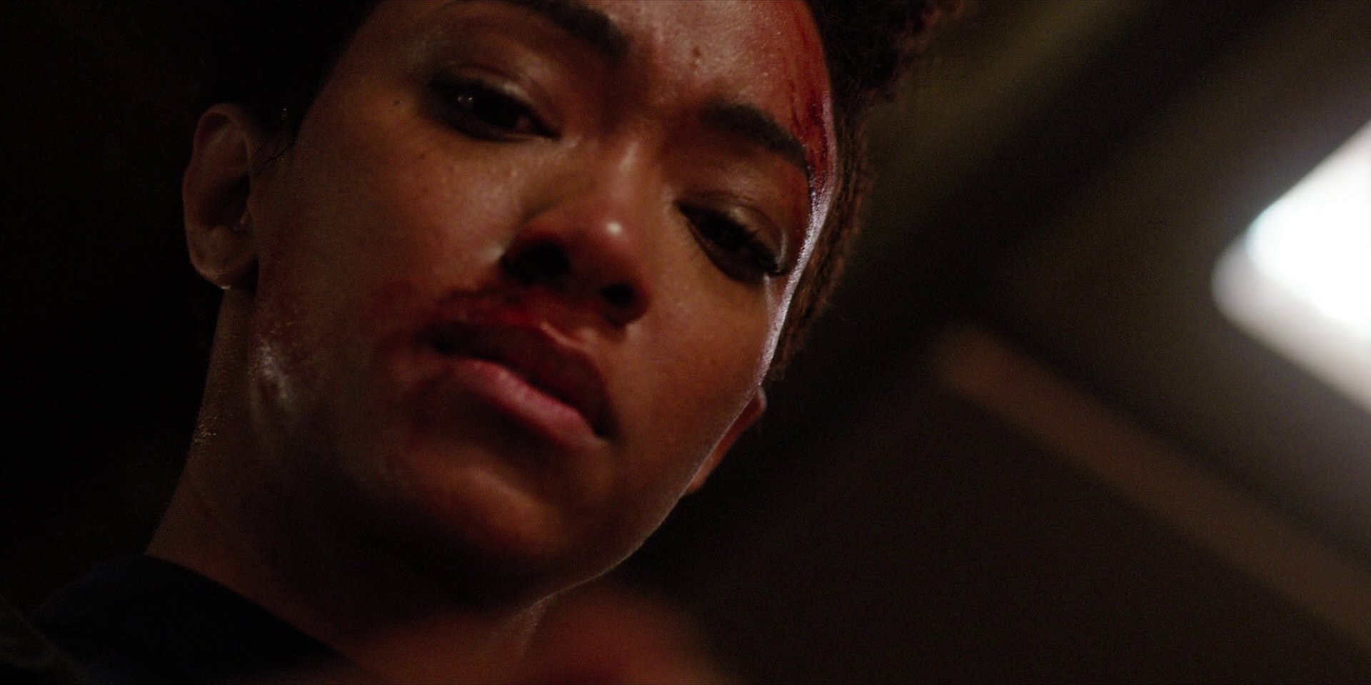 extant_StarTrekDiscovery_1x09-IntoTheForestIGo_3629.jpg