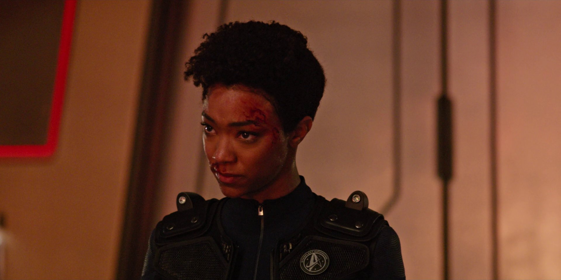 extant_StarTrekDiscovery_1x09-IntoTheForestIGo_3645.jpg