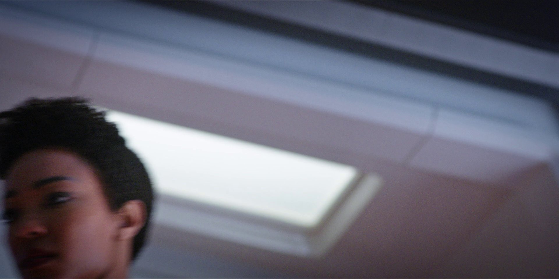 extant_StarTrekDiscovery_1x09-IntoTheForestIGo_3954.jpg