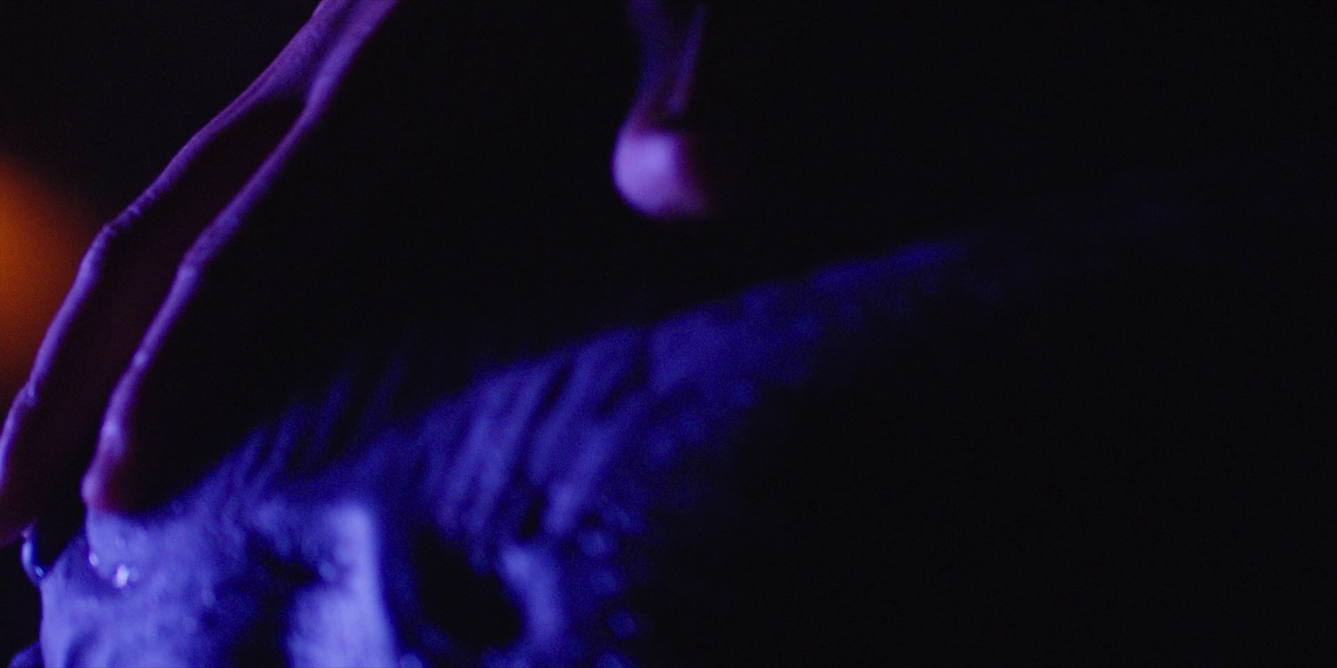 extant_StarTrekDiscovery_1x09-IntoTheForestIGo_4527.jpg