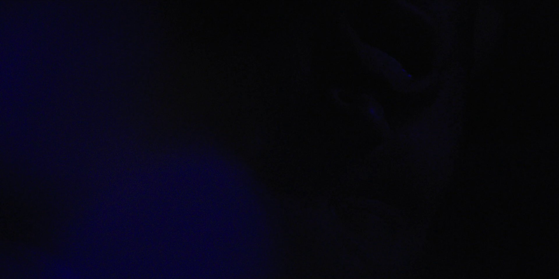extant_StarTrekDiscovery_1x09-IntoTheForestIGo_4541.jpg