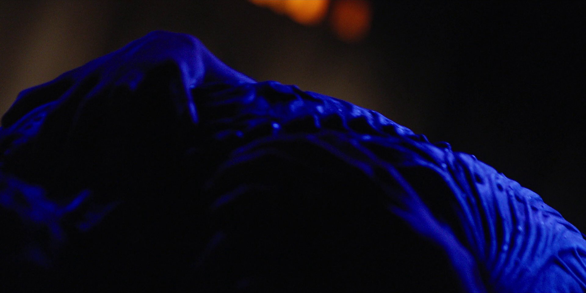 extant_StarTrekDiscovery_1x09-IntoTheForestIGo_4544.jpg
