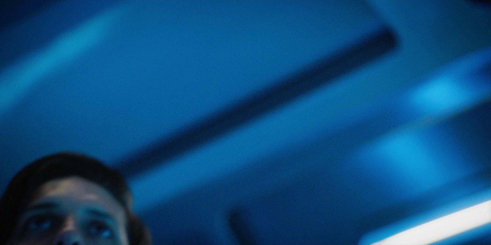 extant_StarTrekDiscovery_1x09-IntoTheForestIGo_4626.jpg