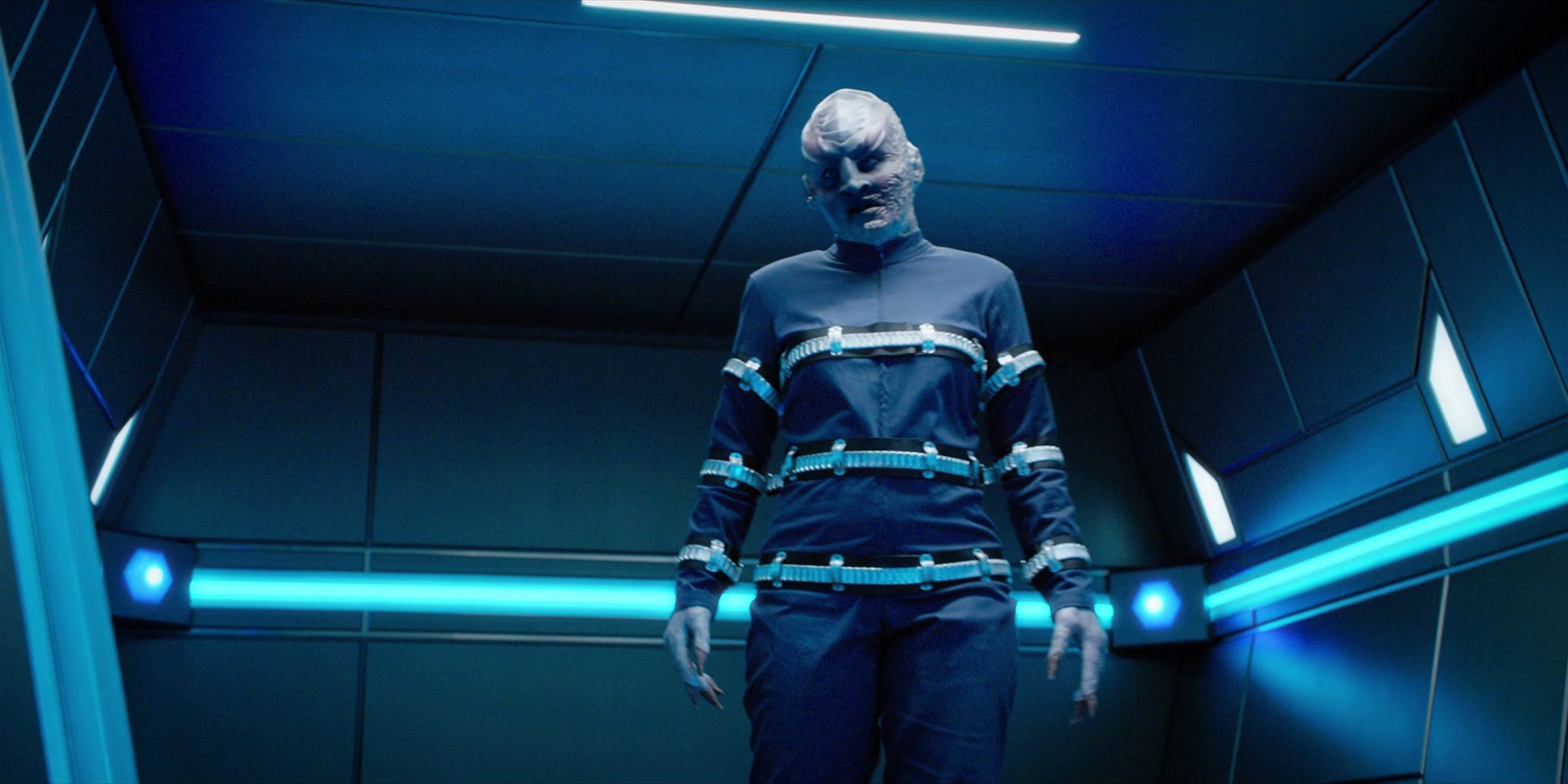 extant_StarTrekDiscovery_1x09-IntoTheForestIGo_4643.jpg extant_StarTrekDiscovery_1x09-IntoTheForestIGo_4643.jpg