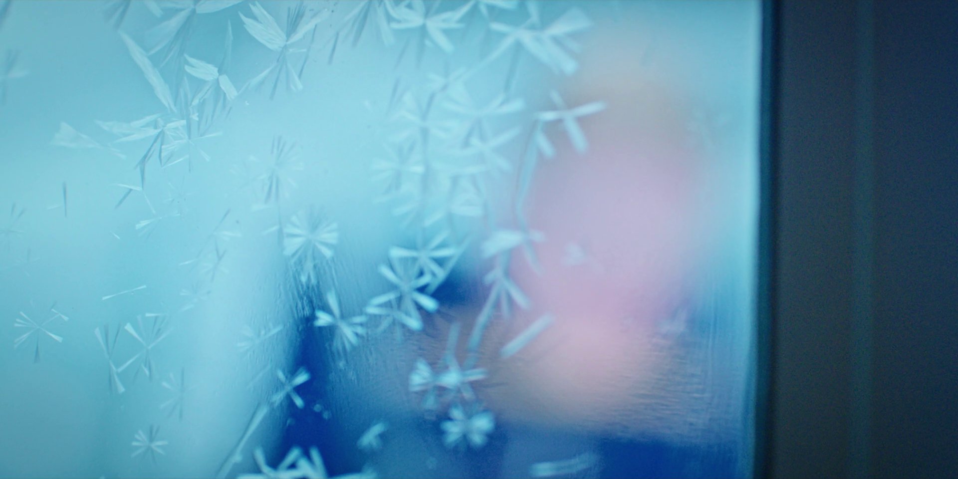 extant_StarTrekDiscovery_1x09-IntoTheForestIGo_4870.jpg extant_StarTrekDiscovery_1x09-IntoTheForestIGo_4870.jpg