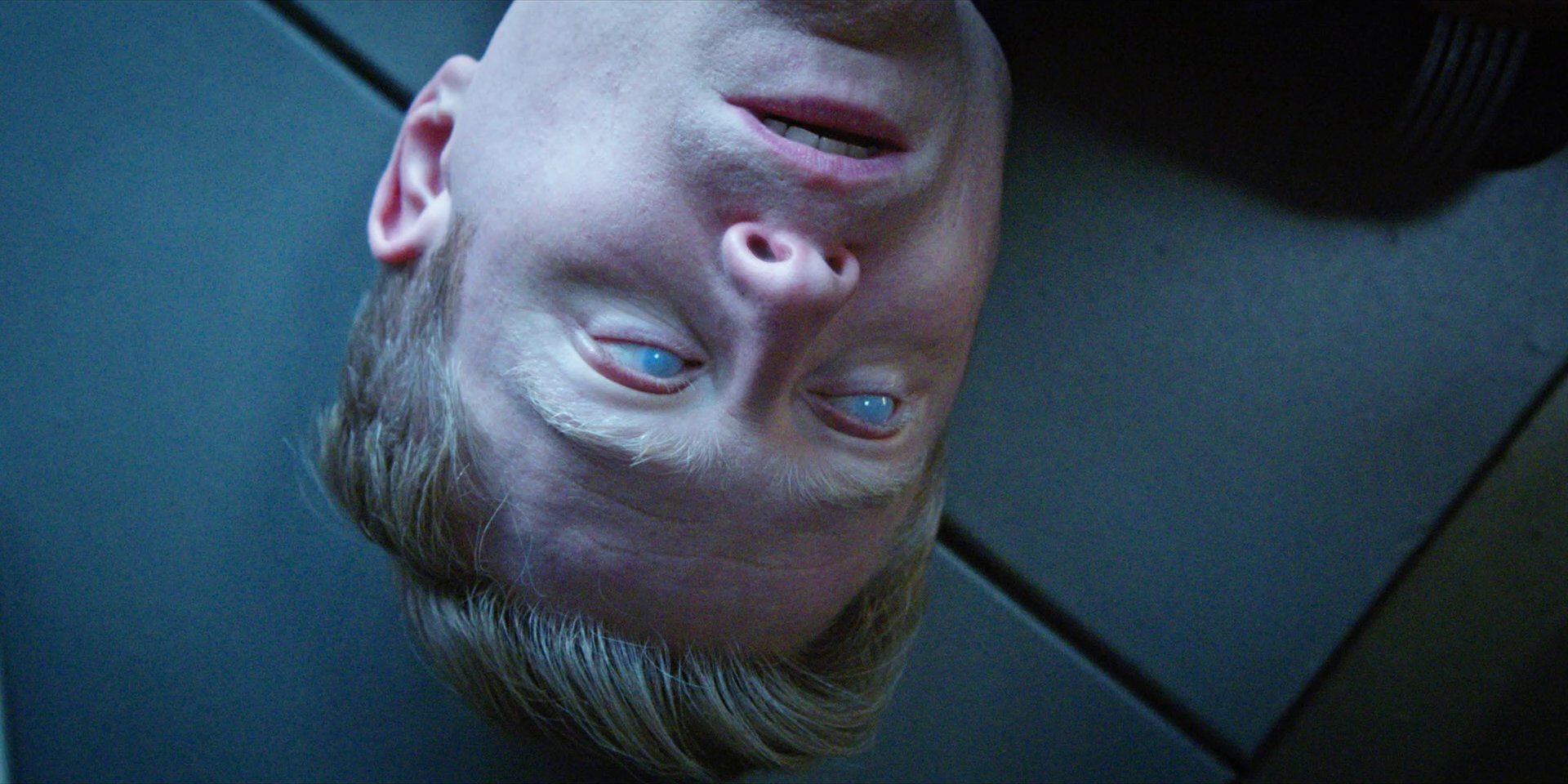 extant_StarTrekDiscovery_1x09-IntoTheForestIGo_4927.jpg
