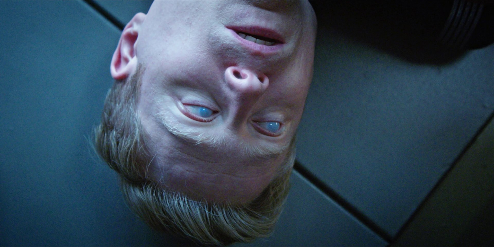 extant_StarTrekDiscovery_1x09-IntoTheForestIGo_4928.jpg
