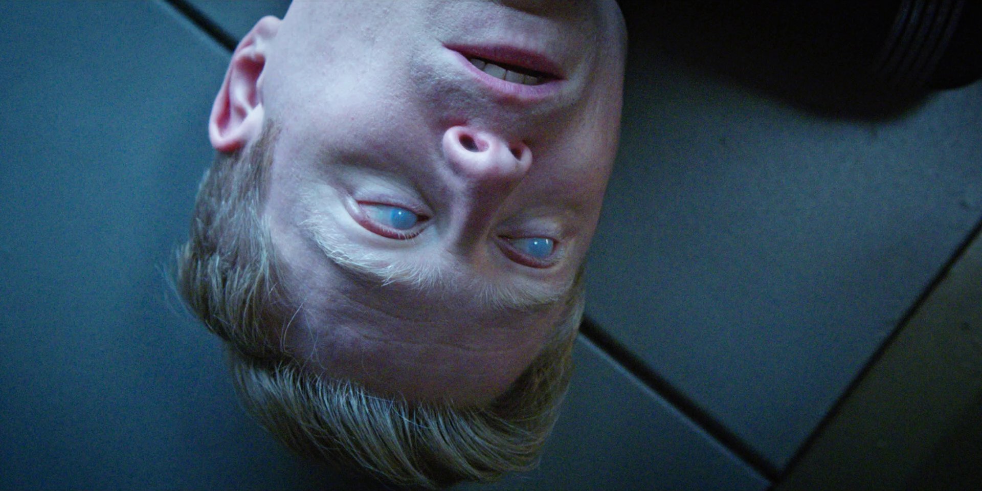 extant_StarTrekDiscovery_1x09-IntoTheForestIGo_4929.jpg