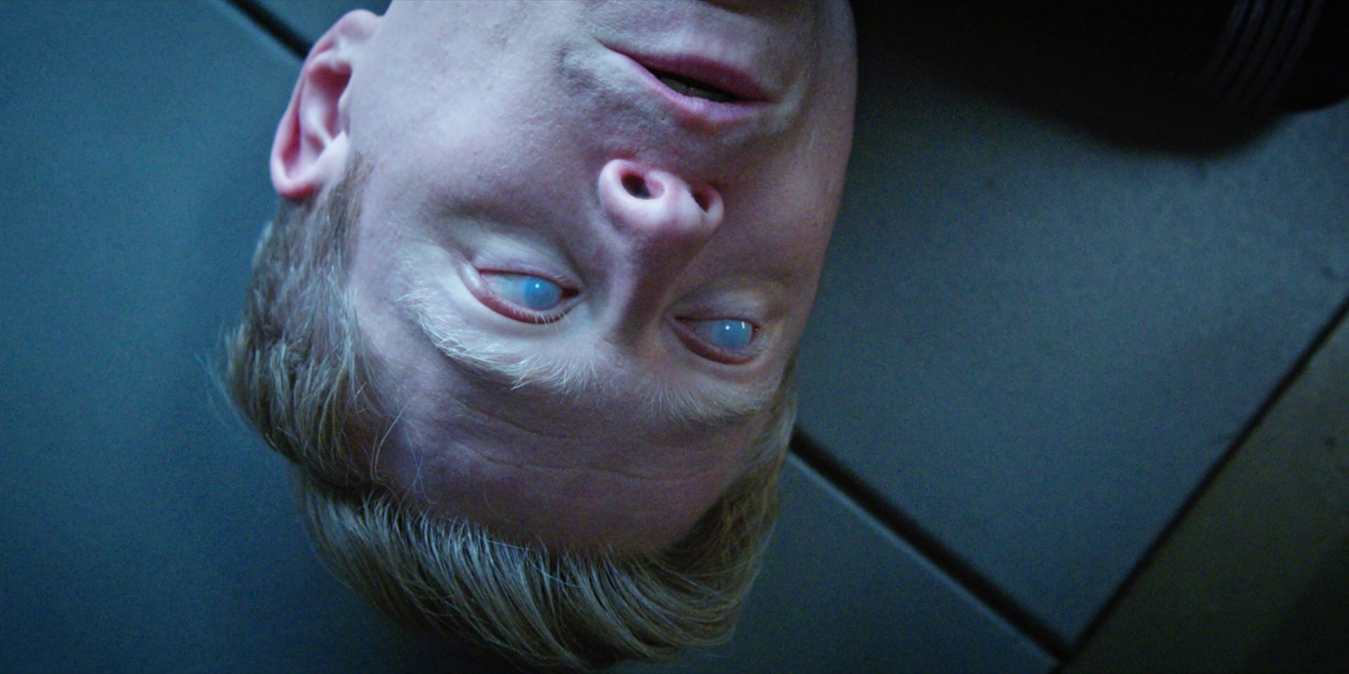 extant_StarTrekDiscovery_1x09-IntoTheForestIGo_4930.jpg
