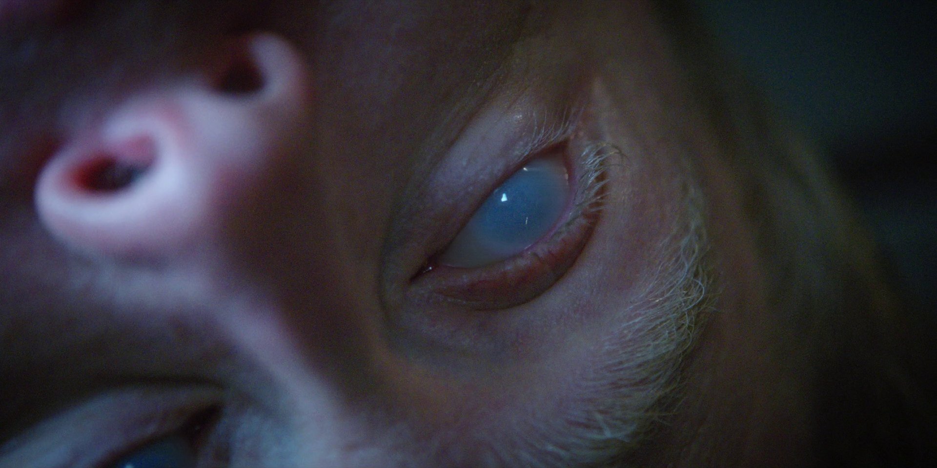 extant_StarTrekDiscovery_1x09-IntoTheForestIGo_4948.jpg