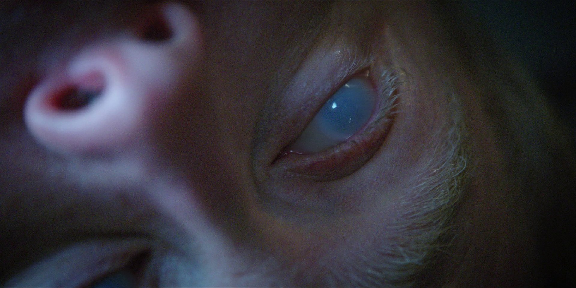 extant_StarTrekDiscovery_1x09-IntoTheForestIGo_4949.jpg
