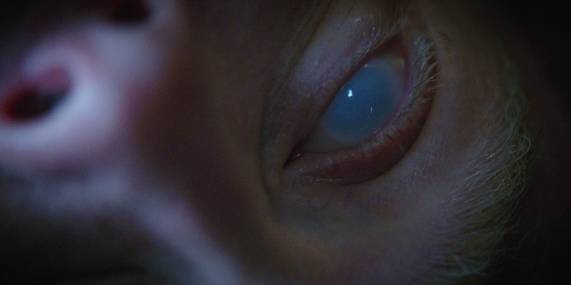 extant_StarTrekDiscovery_1x09-IntoTheForestIGo_4952.jpg