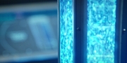 extant_StarTrekDiscovery_1x09-IntoTheForestIGo_1465.jpg