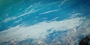 extant_StarTrekDiscovery_1x09-IntoTheForestIGo_1527.jpg