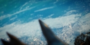 extant_StarTrekDiscovery_1x09-IntoTheForestIGo_1528.jpg