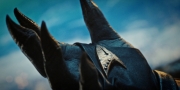 extant_StarTrekDiscovery_1x09-IntoTheForestIGo_1530.jpg